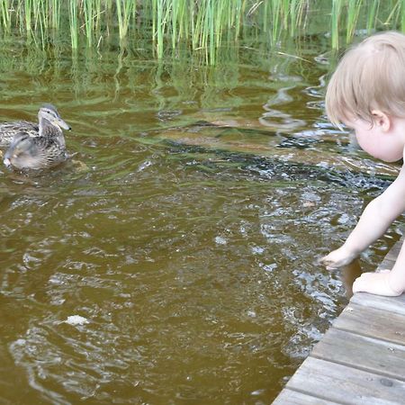 Вілла Moekki Etelaeranta Міккелі Екстер'єр фото